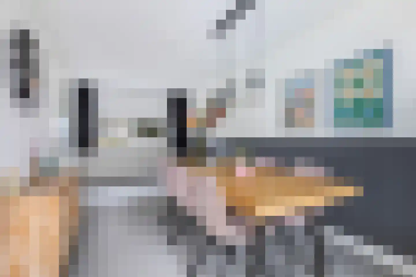 Ringslang 35 Amersfoort thumbnail 7