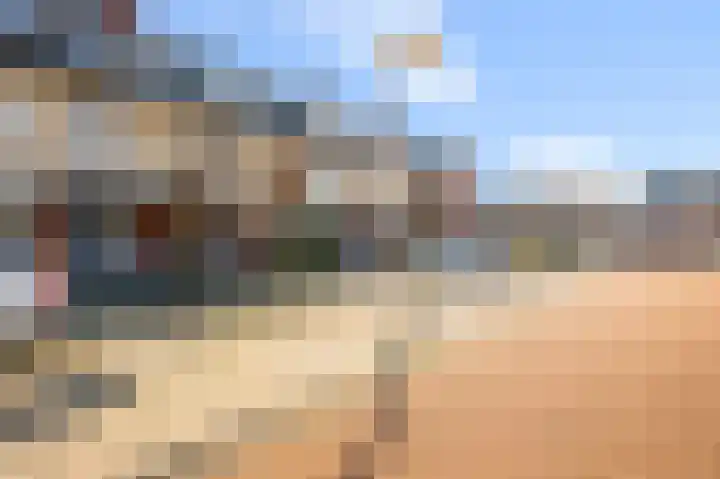 Ringslang 56 in Uithoorn