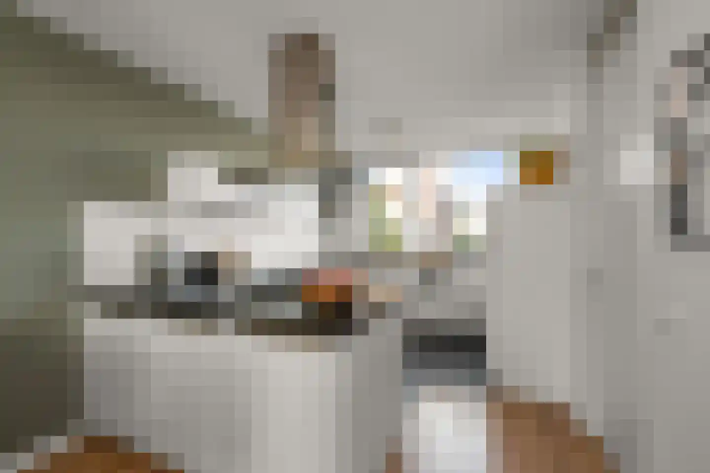Ringslang 56 Uithoorn thumbnail 14