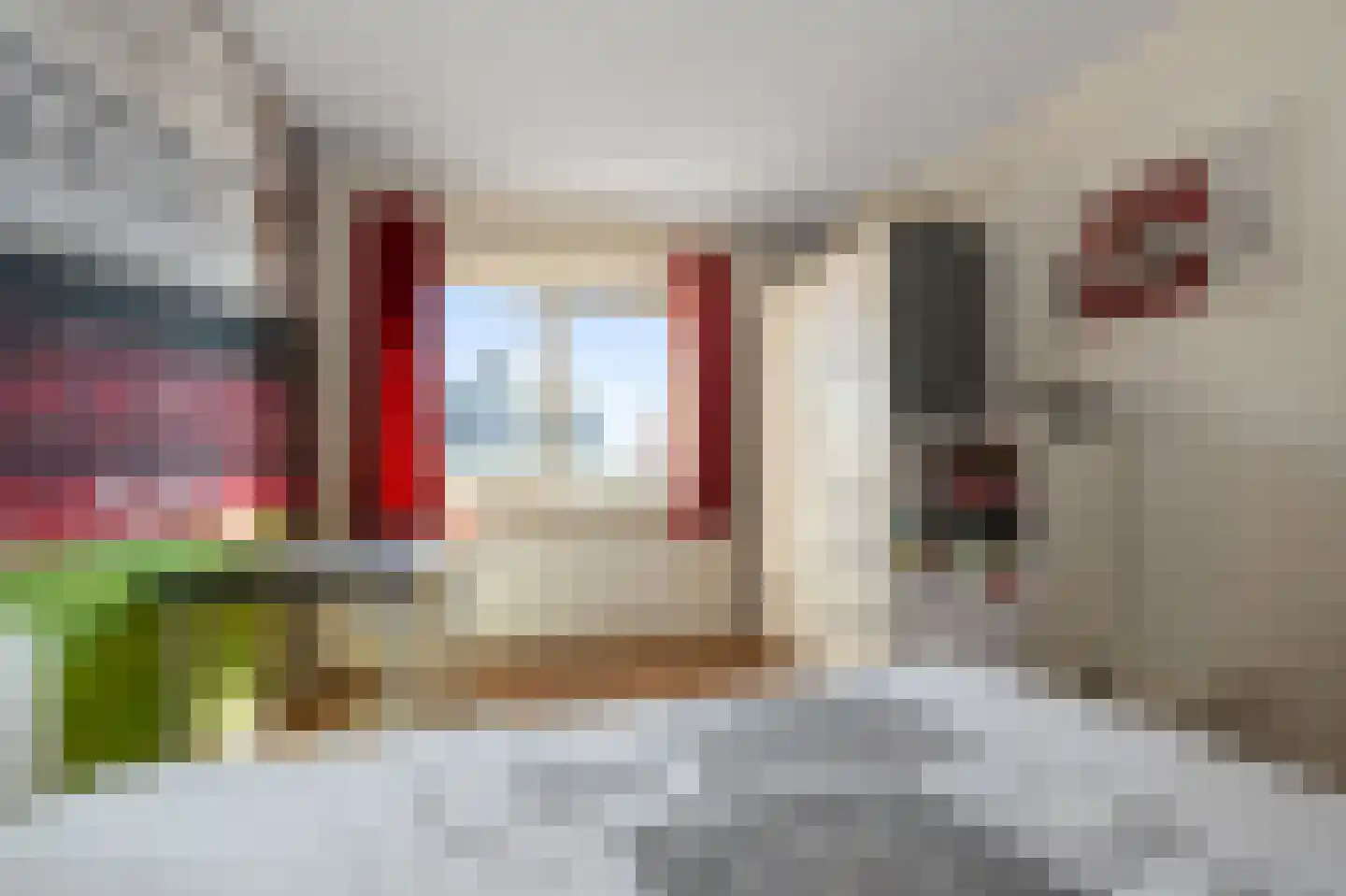 Ringslang 56 Uithoorn thumbnail 20