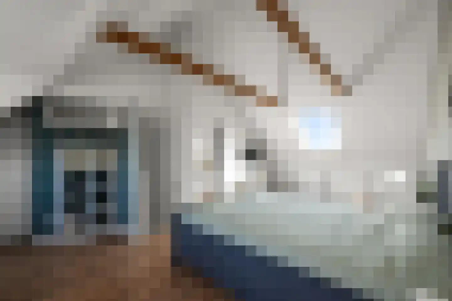 Ringslang 56 Uithoorn thumbnail 30