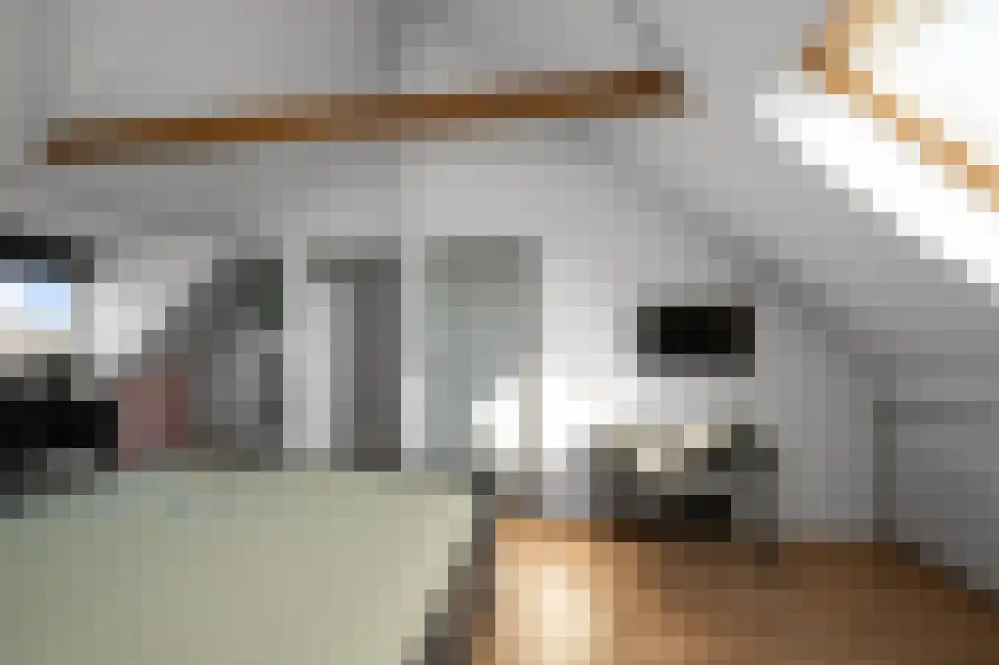 Ringslang 56 Uithoorn thumbnail 36