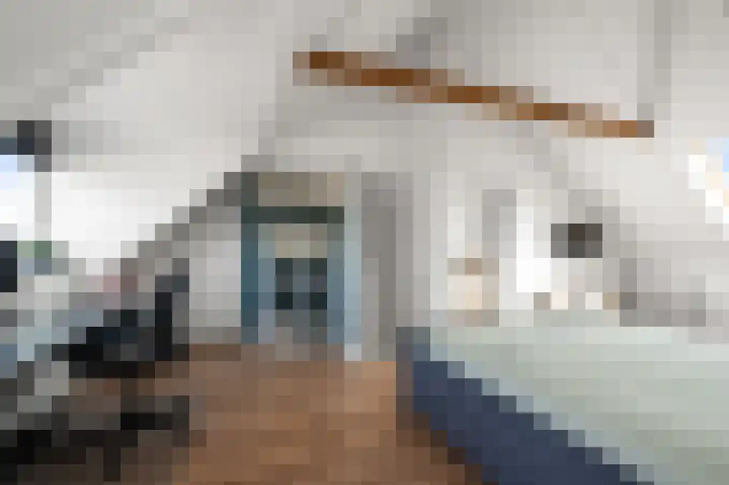 Ringslang 56 Uithoorn thumbnail 37