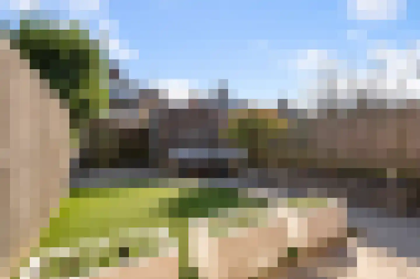 Ringslang 56 Uithoorn thumbnail 40