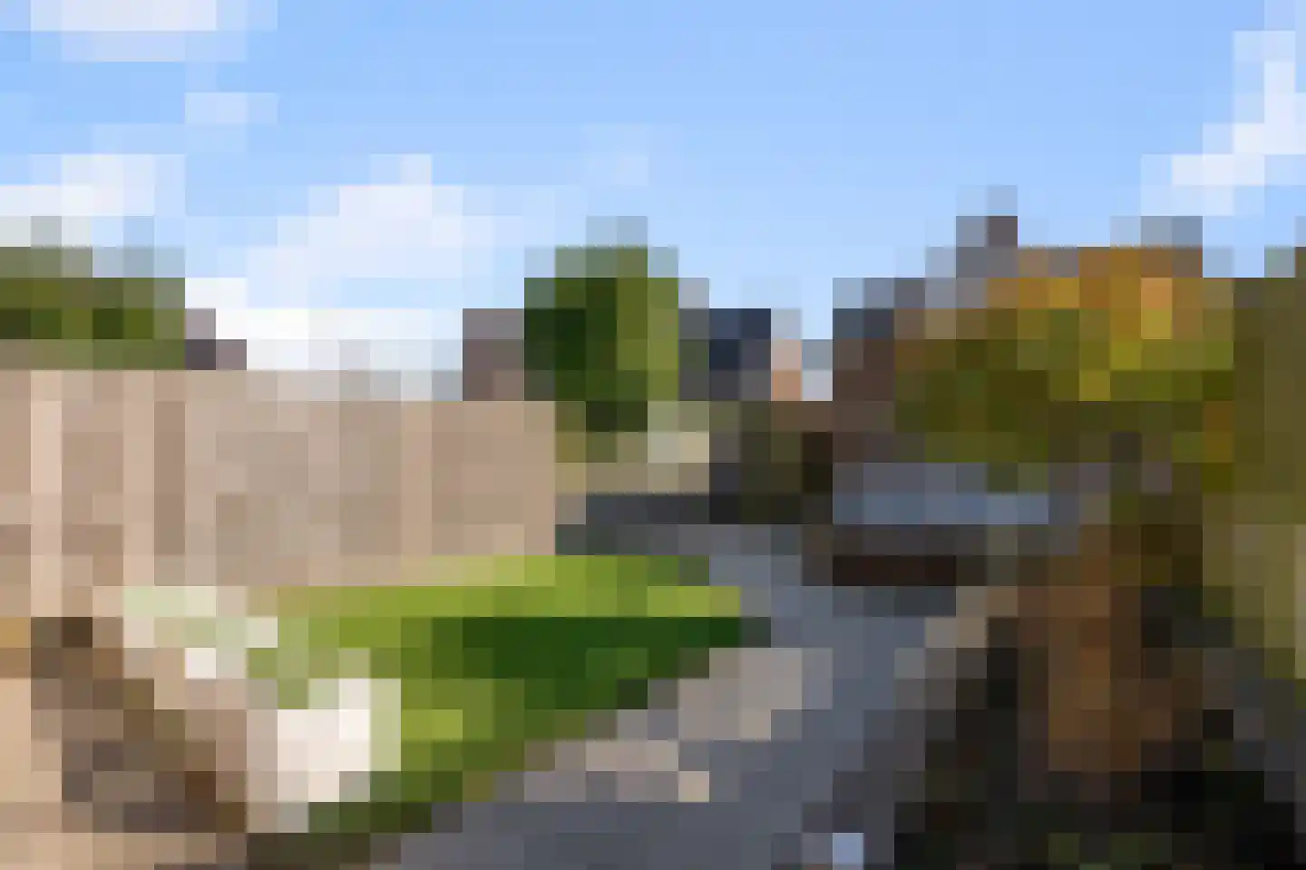 Ringslang 56 Uithoorn thumbnail 42