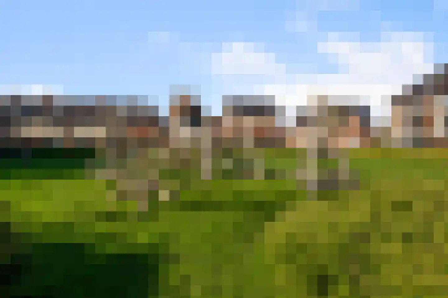 Ringslang 56 Uithoorn thumbnail 46