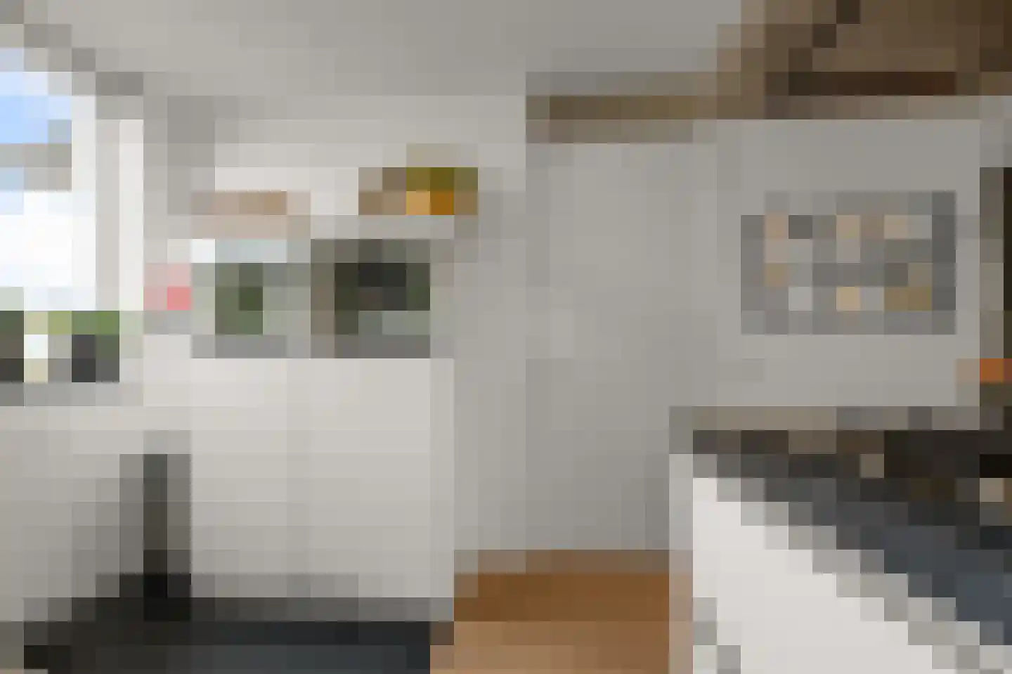 Ringslang 56 Uithoorn thumbnail 7
