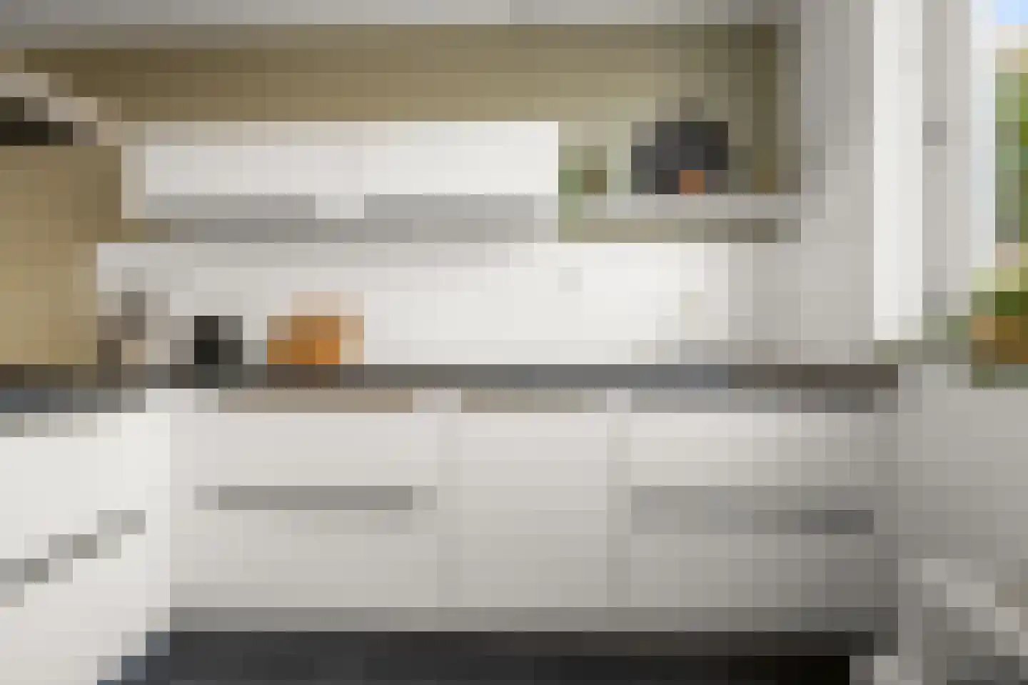 Ringslang 56 Uithoorn thumbnail 8