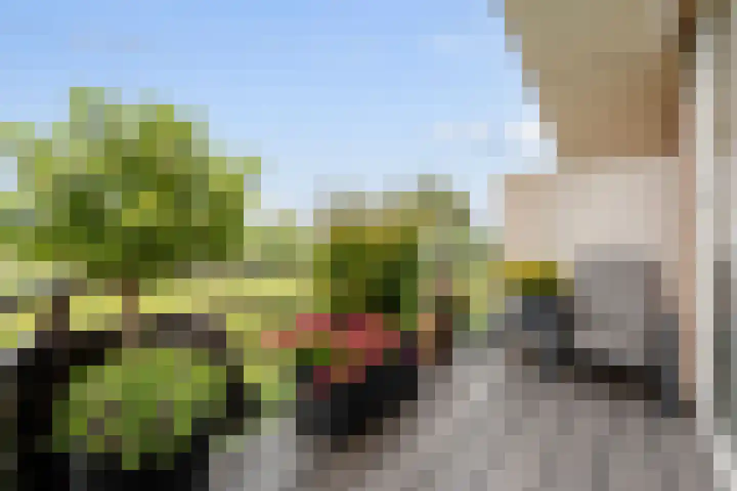 Ringslang 79 Amstelveen thumbnail 17