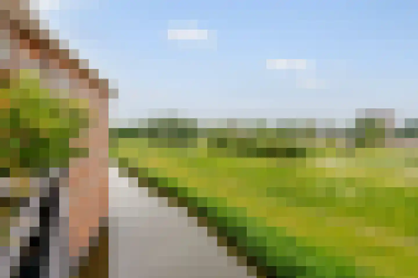Ringslang 79 Amstelveen thumbnail 18