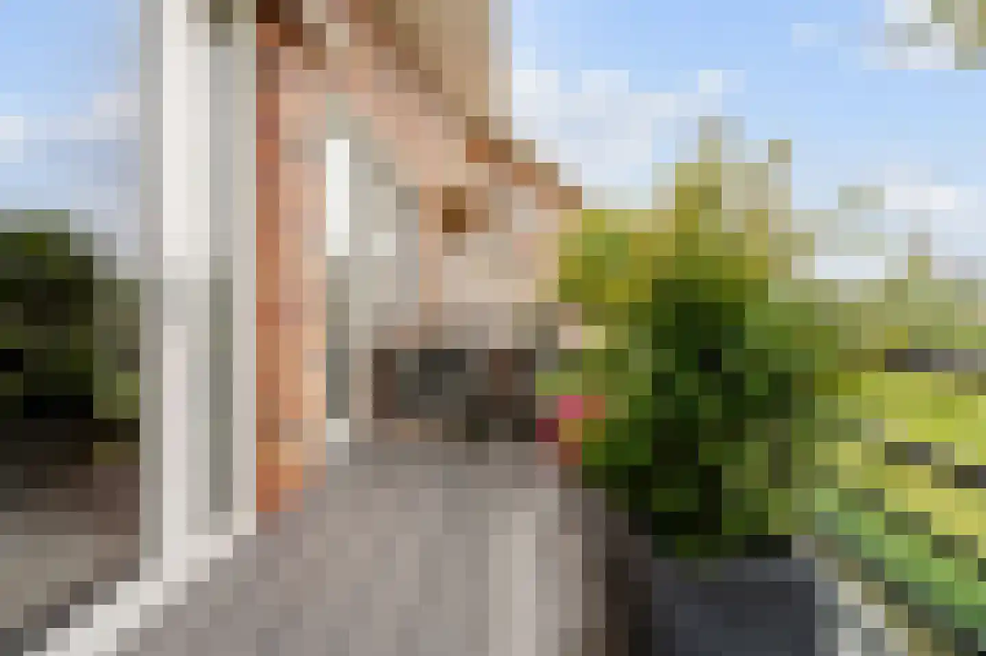 Ringslang 79 Amstelveen thumbnail 19