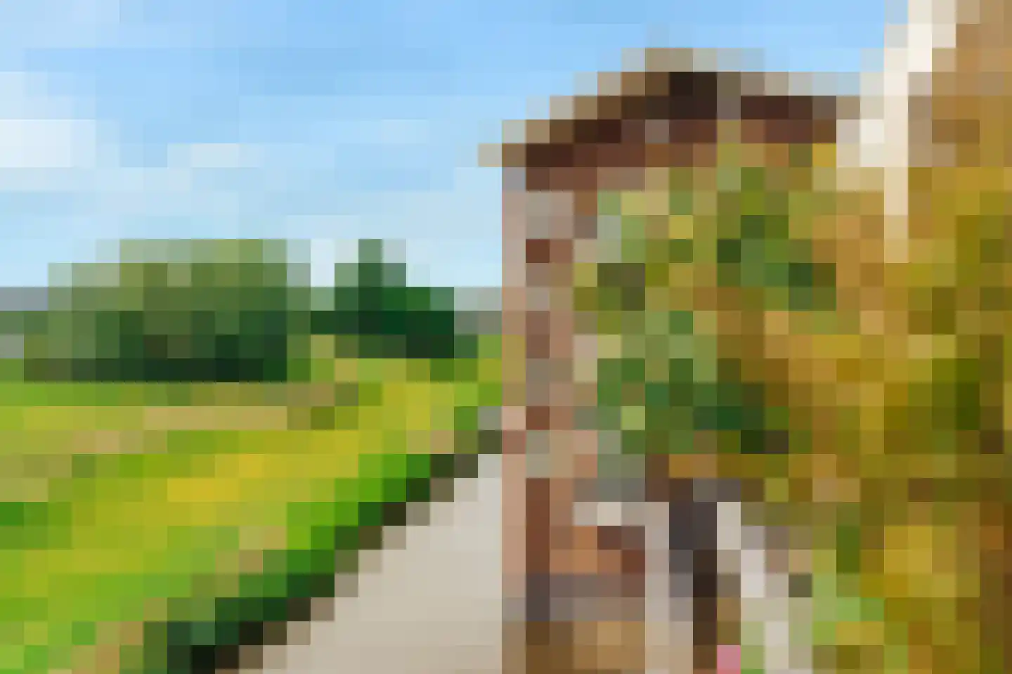 Ringslang 79 Amstelveen thumbnail 19