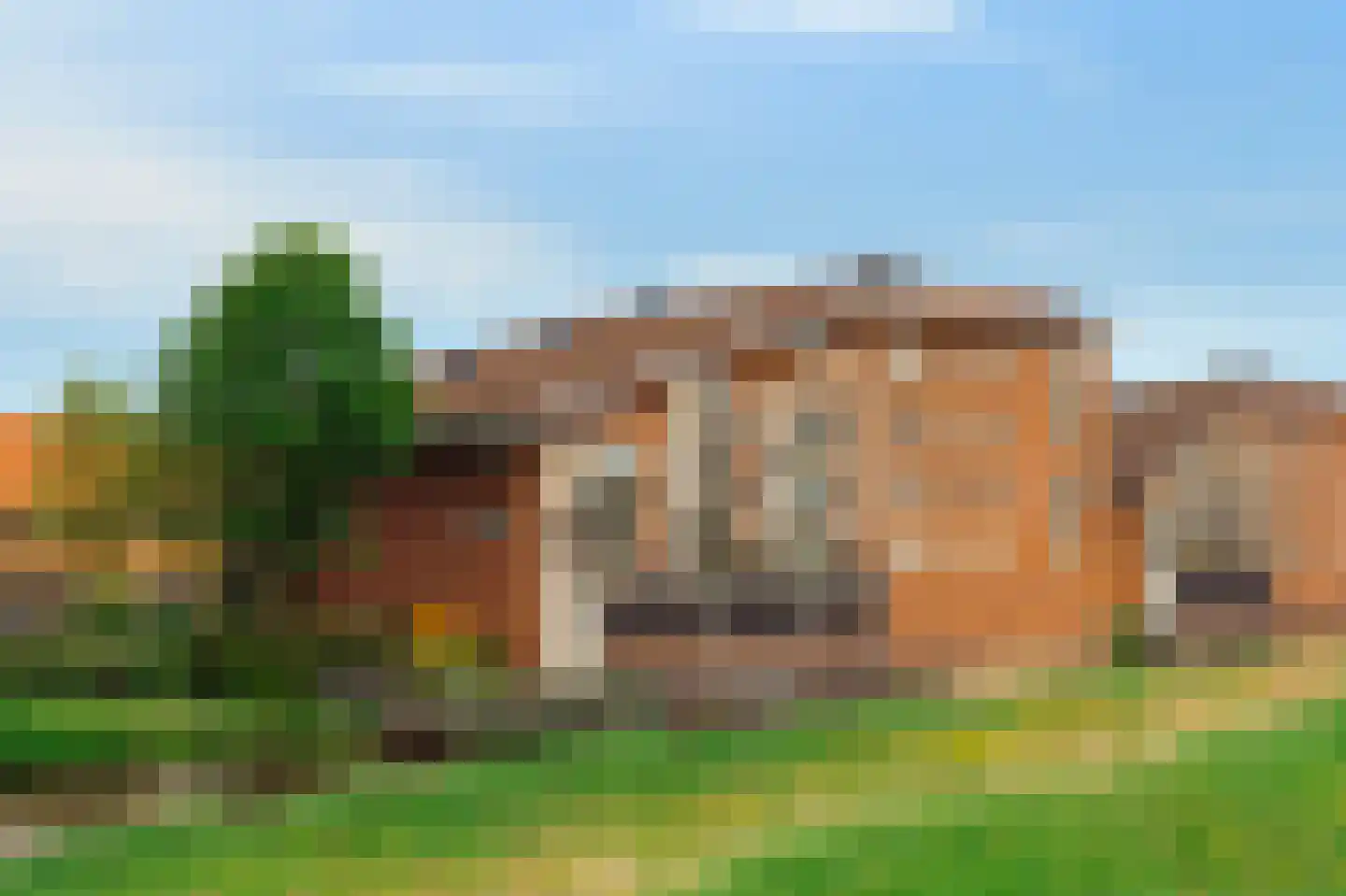 Ringslang 79 Amstelveen thumbnail 21