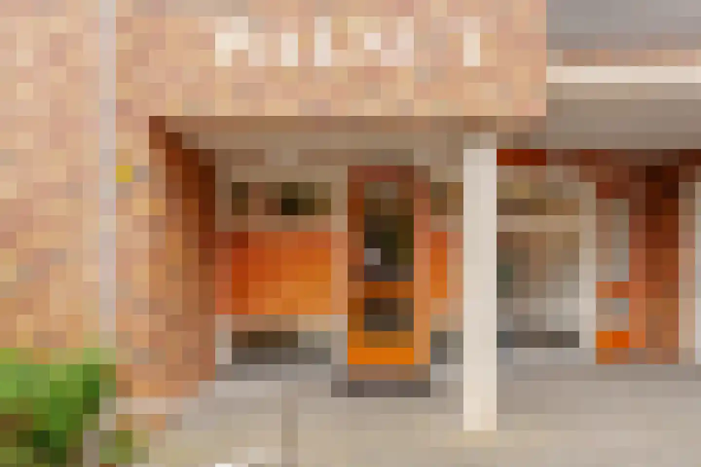 Ringslang 79 Amstelveen thumbnail 27
