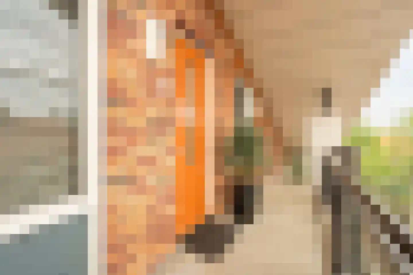 Ringslang 79 Amstelveen thumbnail 29