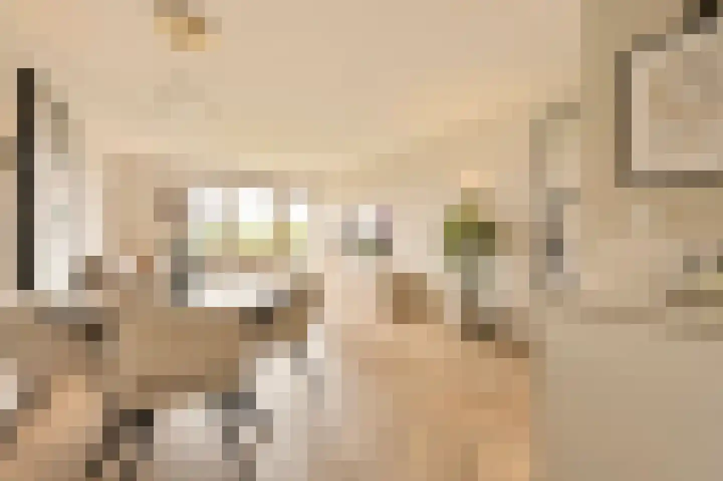 Ringslang 79 Amstelveen thumbnail 6