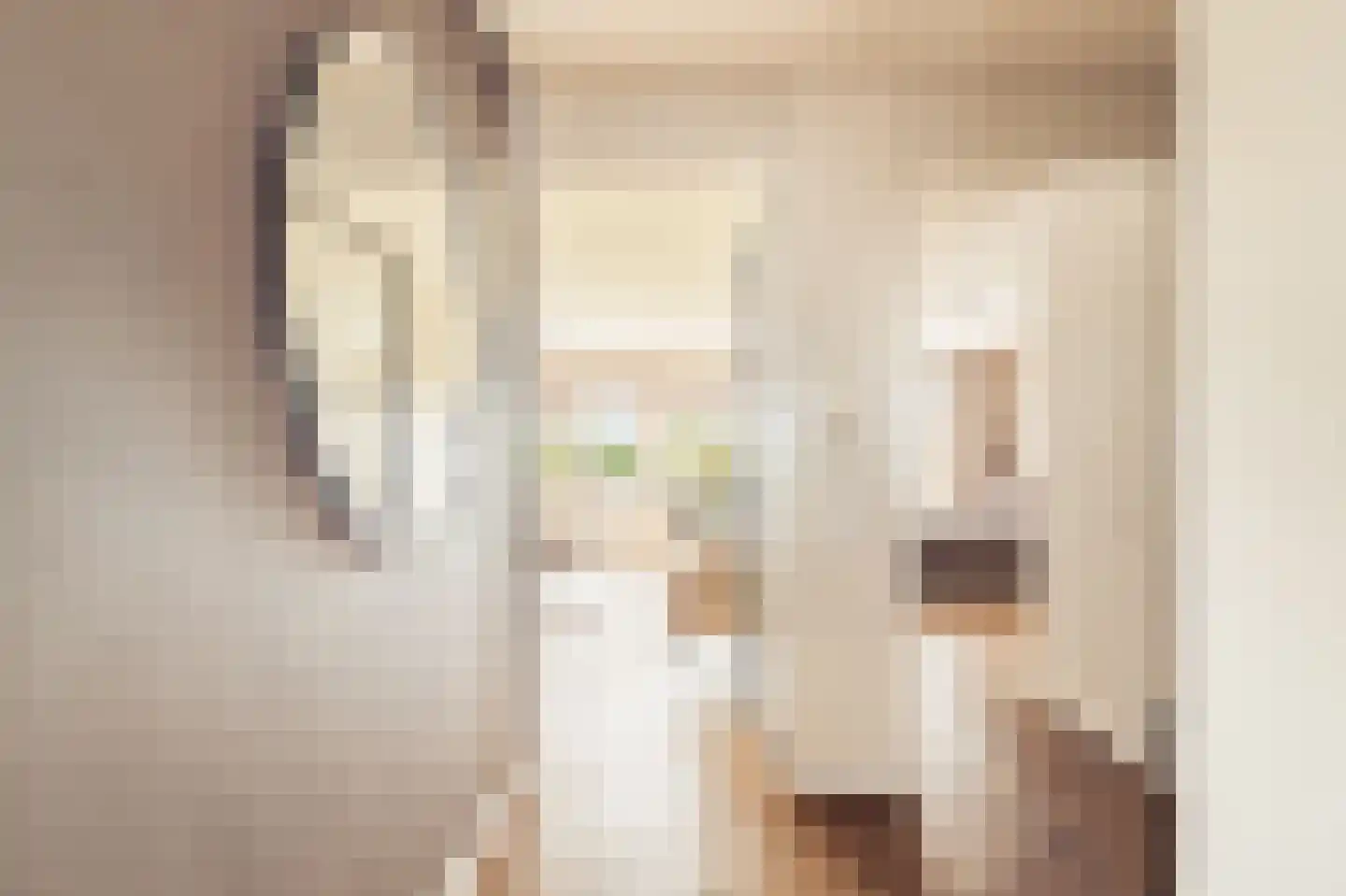 Ringslang 79 Amstelveen thumbnail 9