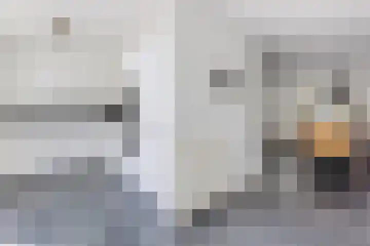 Ringslang 9 Amersfoort thumbnail 10