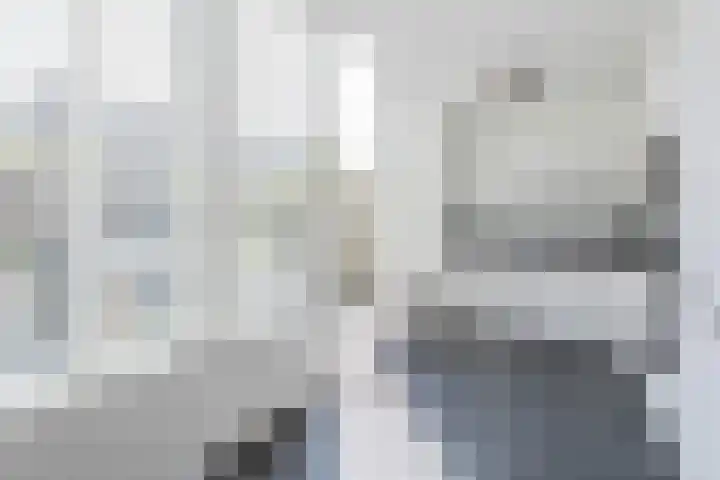 Ringslang 9 Amersfoort thumbnail 11