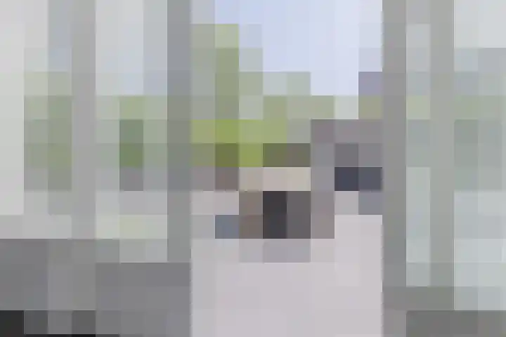 Ringslang 9 Amersfoort thumbnail 13