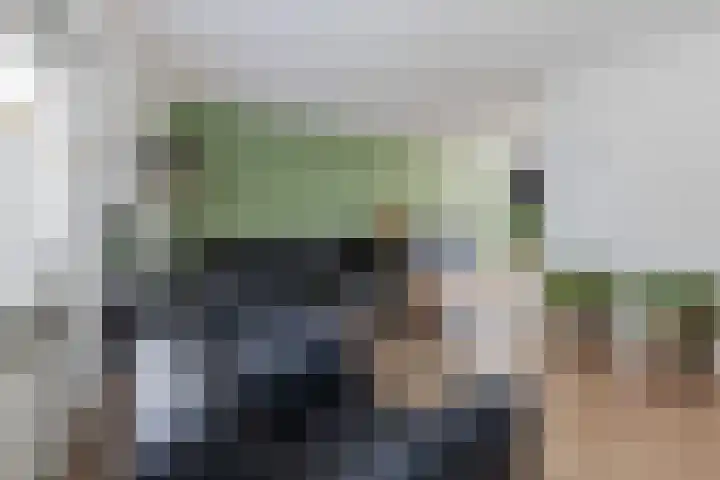 Ringslang 9 Amersfoort thumbnail 16