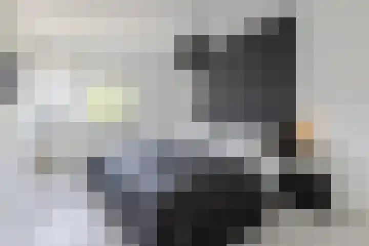 Ringslang 9 Amersfoort thumbnail 23