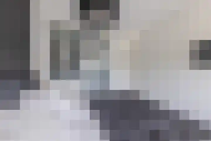 Ringslang 9 Amersfoort thumbnail 24