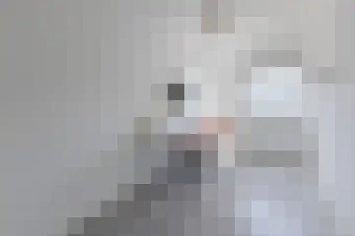 Ringslang 9 Amersfoort thumbnail 25