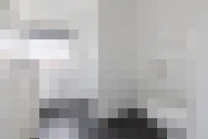 Ringslang 9 Amersfoort thumbnail 27