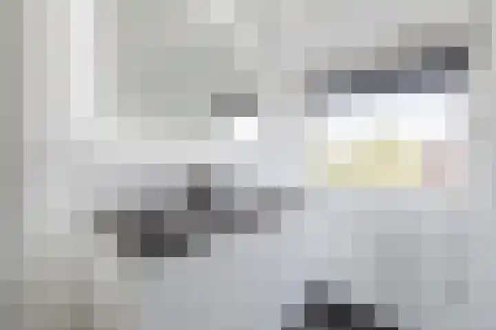 Ringslang 9 Amersfoort thumbnail 28