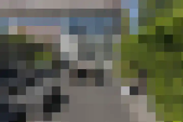 Ringslang 9 Amersfoort thumbnail 30