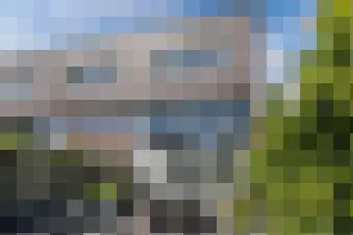 Ringslang 9 Amersfoort thumbnail 31