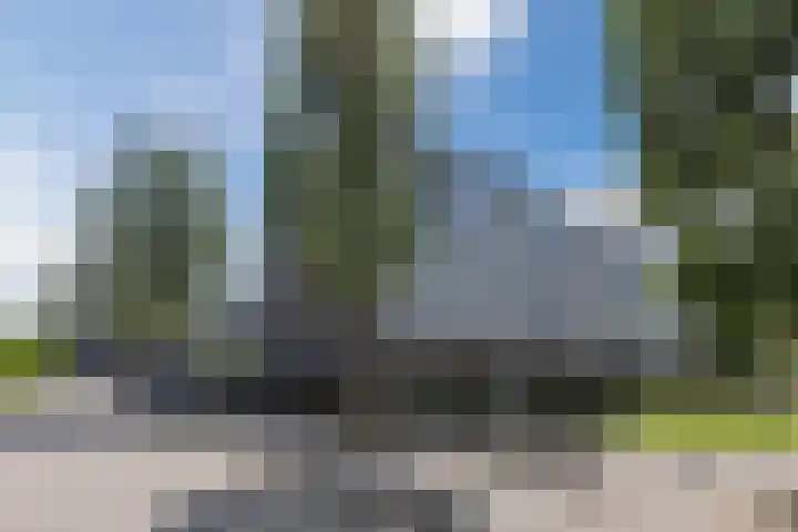 Ringslang 9 Amersfoort thumbnail 33