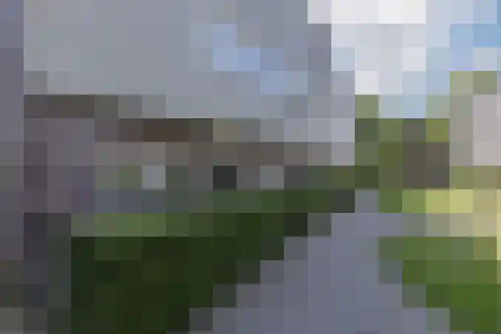 Ringslang 9 Amersfoort thumbnail 34