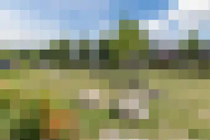 Ringslang 9 Amersfoort thumbnail 35