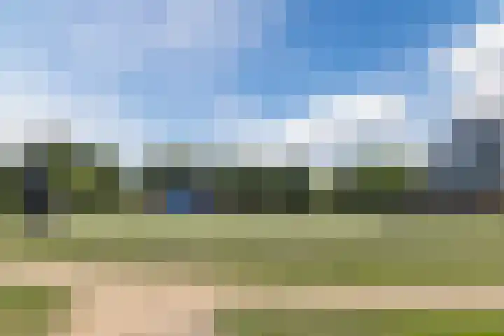 Ringslang 9 Amersfoort thumbnail 36