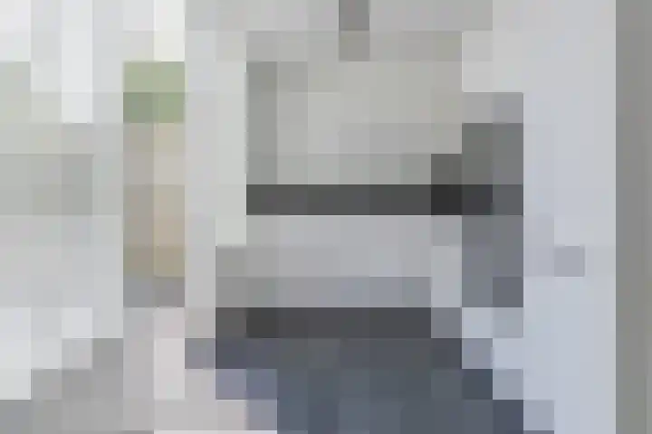 Ringslang 9 Amersfoort thumbnail 4