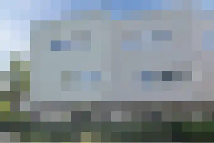 Ringslang 9 Amersfoort thumbnail 41