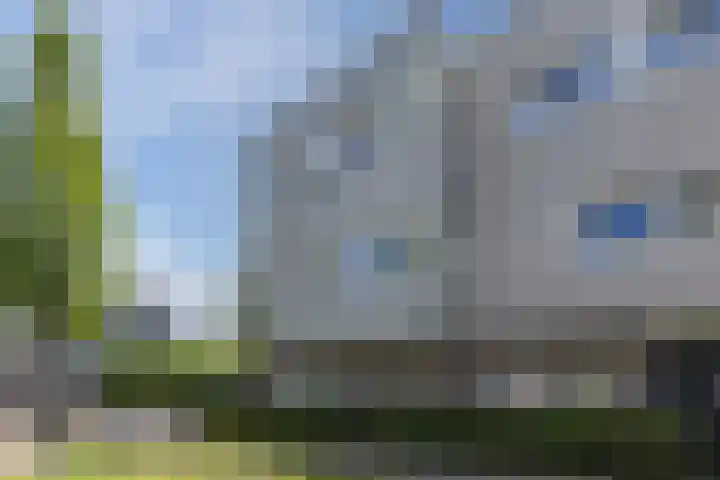 Ringslang 9 Amersfoort thumbnail 5