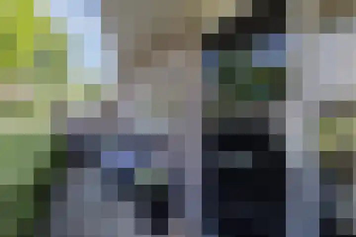 Ringslang 9 Amersfoort thumbnail 6