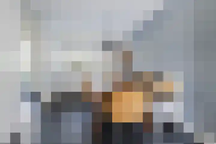 Ringslang 9 Amersfoort thumbnail 9