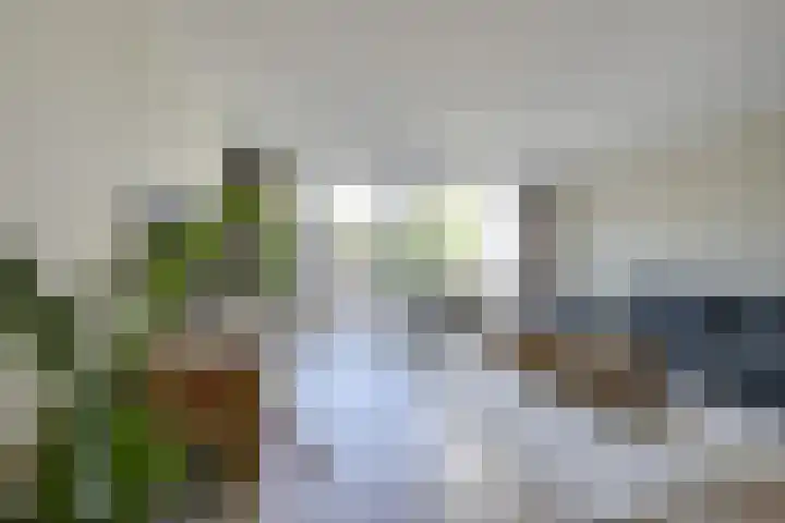 Ringslangweide 32 Nieuwegein thumbnail 23