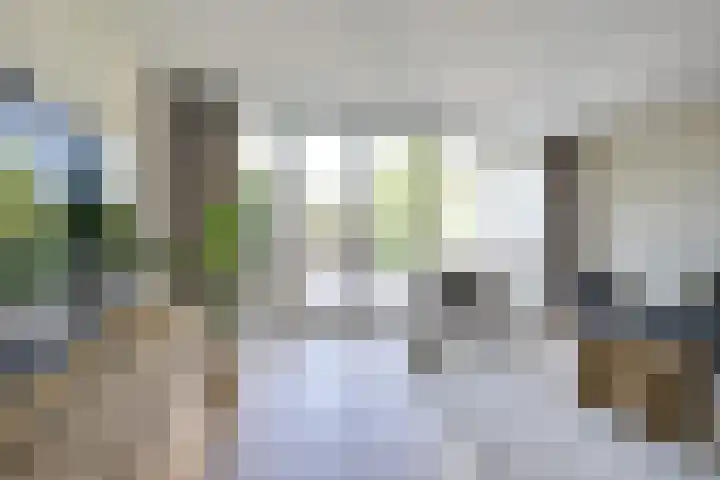Ringslangweide 32 Nieuwegein thumbnail 25