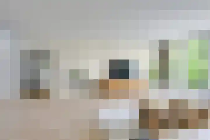 Ringslangweide 32 Nieuwegein thumbnail 26