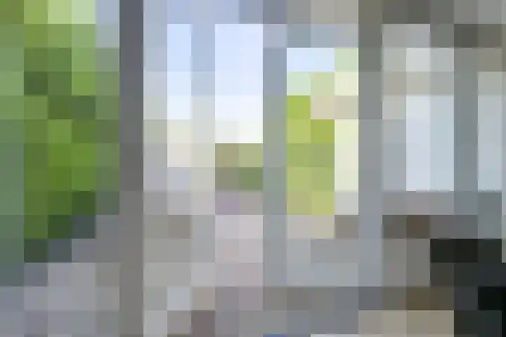 Ringslangweide 32 Nieuwegein thumbnail 32