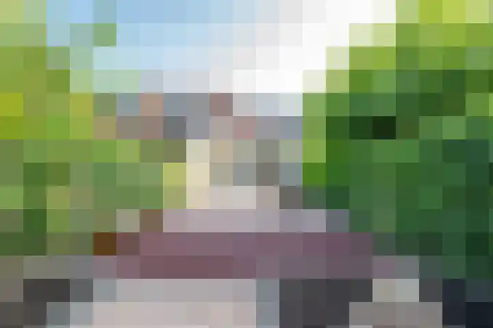 Ringslangweide 32 Nieuwegein thumbnail 36
