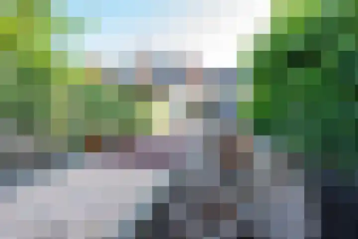 Ringslangweide 32 Nieuwegein thumbnail 37