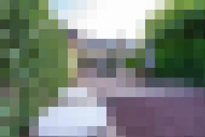 Ringslangweide 32 Nieuwegein thumbnail 38