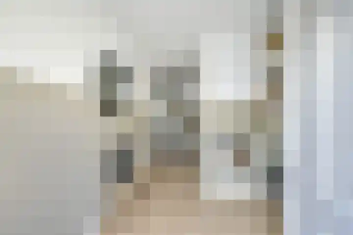 Ringslangweide 32 Nieuwegein thumbnail 6