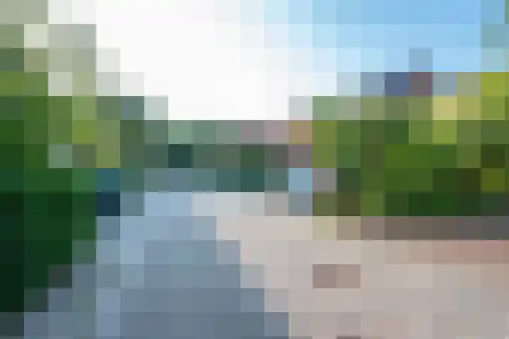 Ringslangweide 32 Nieuwegein thumbnail 72